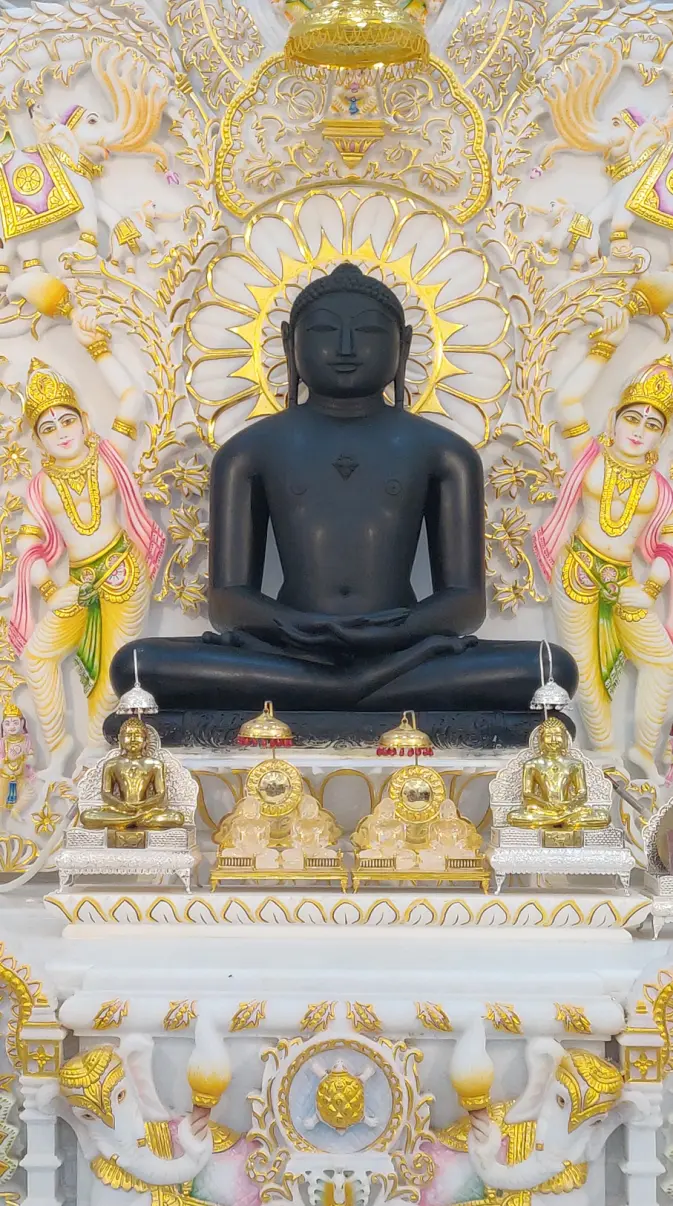 Devotional iconography of Munisuvrata Bhagwan